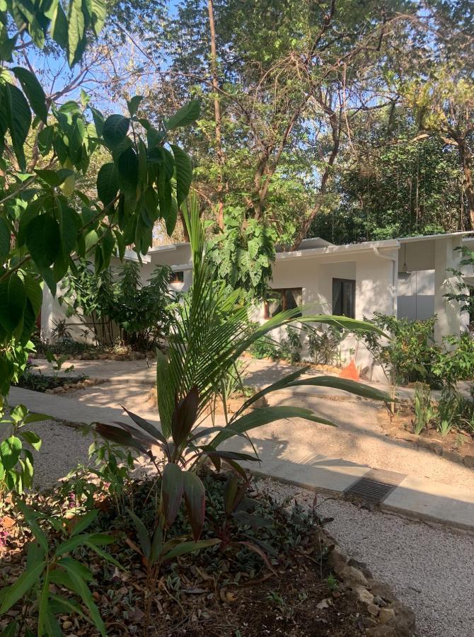 Driftwood Glamping & Boutique Hotel Playa Guiones Exterior photo
